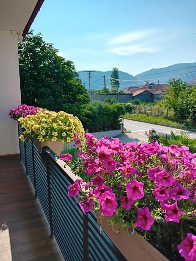 Belov Rooms And Apartments Demir Kapija Kültér fotó