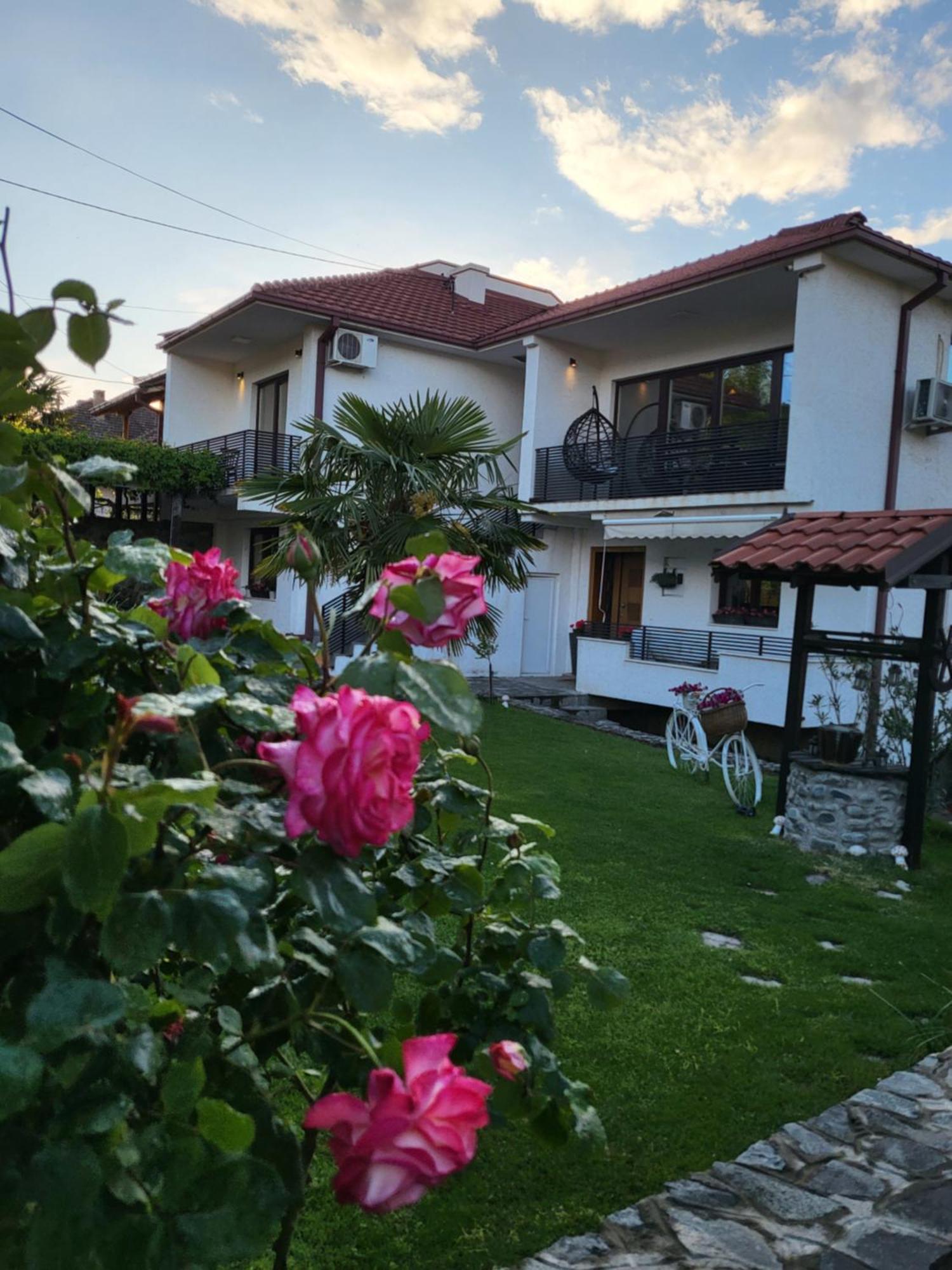 Belov Rooms And Apartments Demir Kapija Kültér fotó
